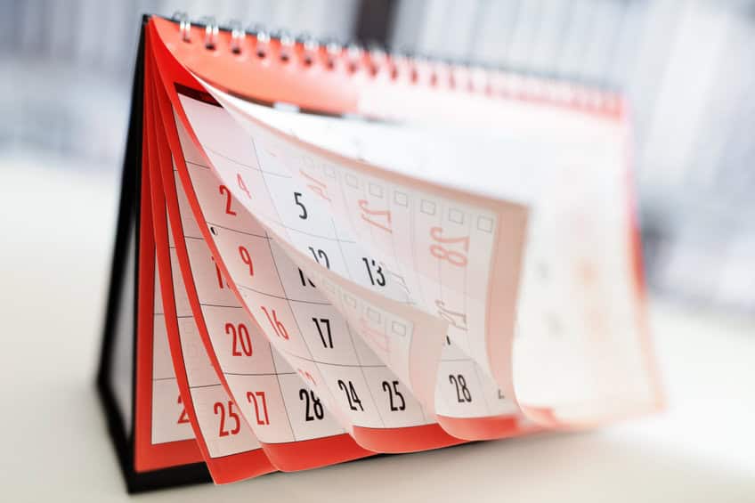 12 Month Lawn Care Checklist - Lawn Care Plan