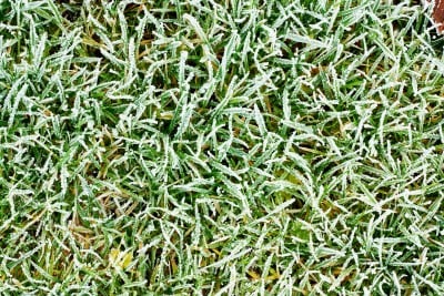 How-To-Prepare-Your-Lawn-For-The-Winter-Dallas-Texas