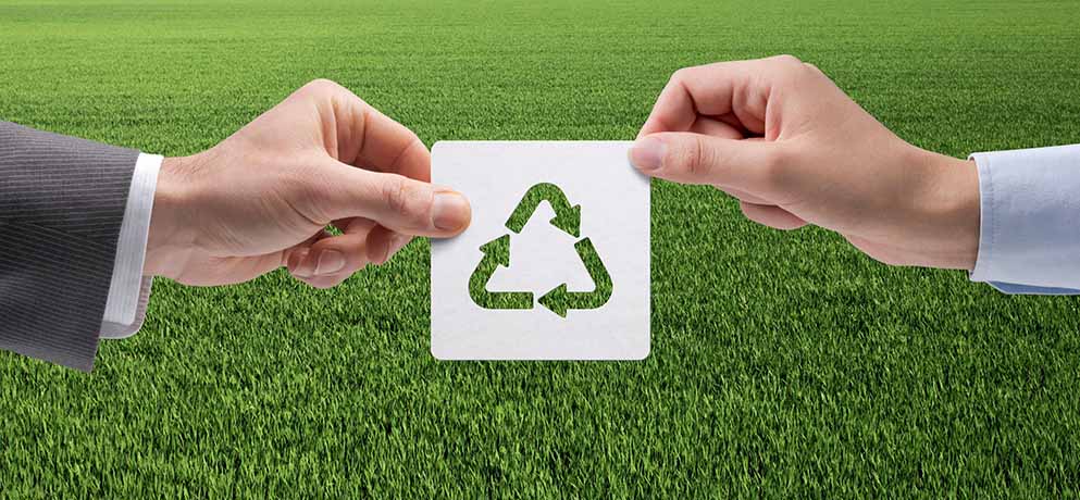 Green Landscaping Lawn Care Company