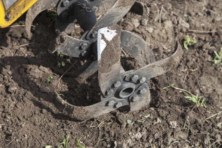 Prep-Garden-Beds-For-Spring