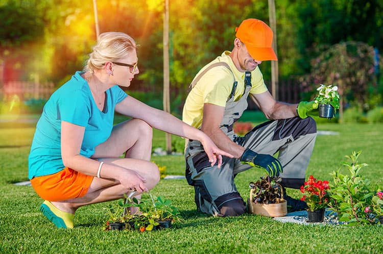5 Ways To Grow And Diversify Your Lawn Care Business In Dallas Texas