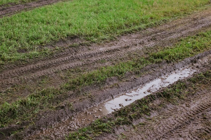 How to Repair a Damaged lawn