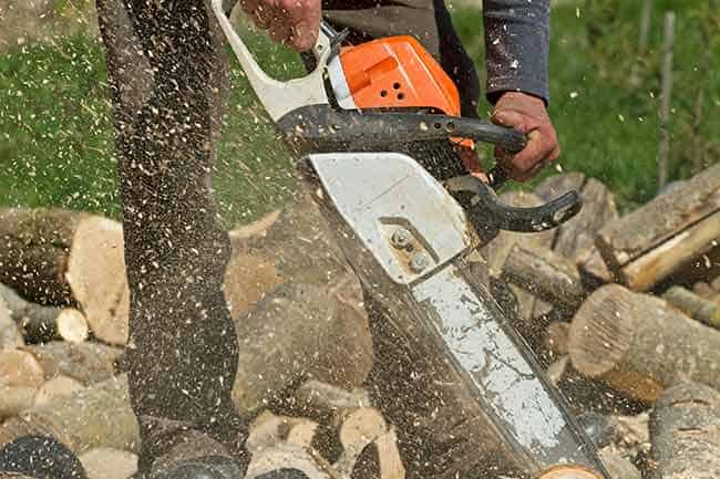 Stihl-Chainsaw-Buying-Guide-Richardson-Saw-And-Lawnmower-Dfw-Area