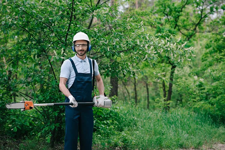 Buying Guide Powered Pole Pruners and Pole Saws Keller Outdoor Power Tools