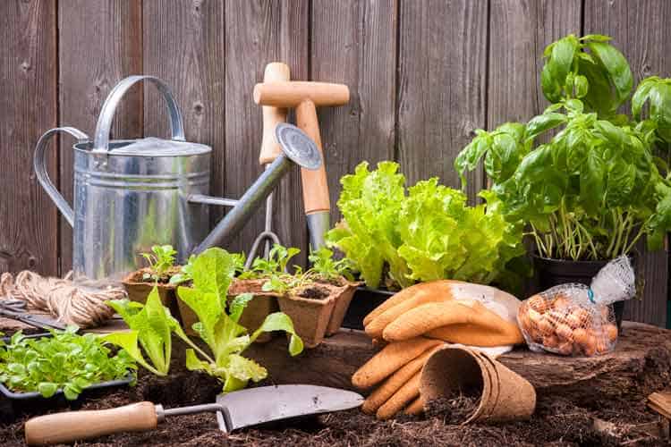 Garden-Tools-And-Equipment-Richardson-Tx