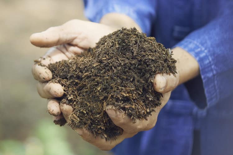 How-Fast-Can-Compost-Be-Ready