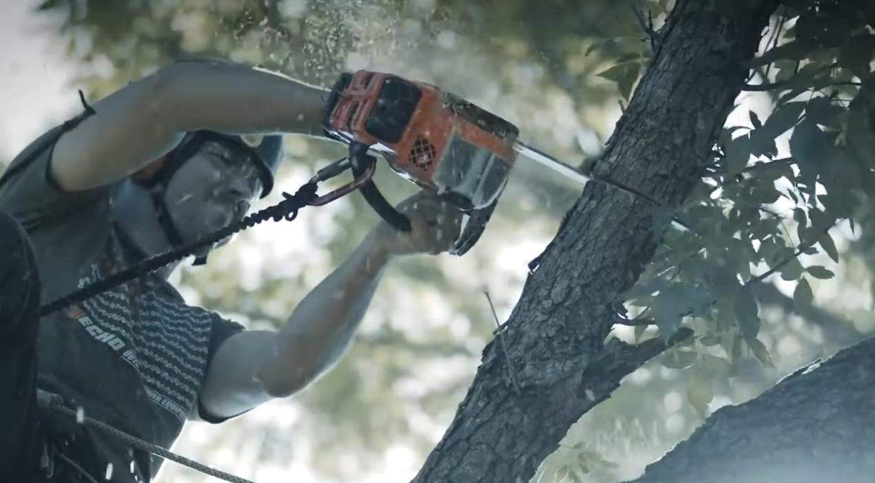 Echo Dcs2500T Battery-Powered Chainsaw Dealer Mesquite
