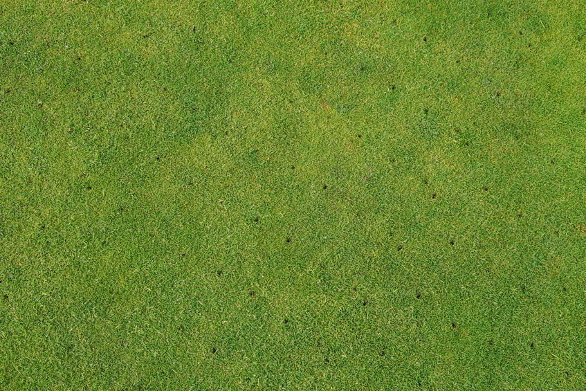 Aerated Lawn Turf Fort Worth