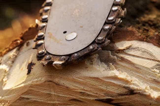 Best-Brand-Name-Chainsaw-For-Moderate-Use