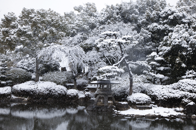 Garden-Backyard-Winter-Pretty