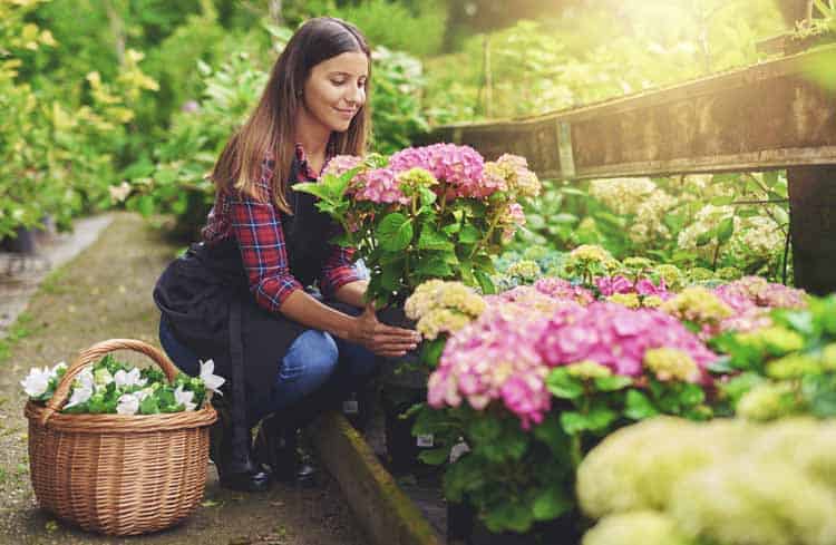 How-To-Eliminate-Allergy-Plants-Around-The-House-Richardson-Saw