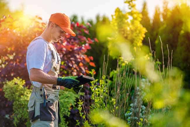 Lawn-Care-Best-Yard-Quality-Lawn-Equipment