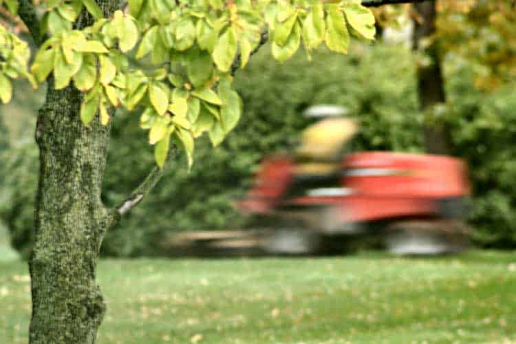 lawnmover-hit-tree