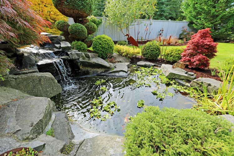Backyard-Pond