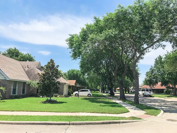 Lawn Mowing Tips &Amp; Recommendations For Spring And Summer Allen Area Lawnmowers