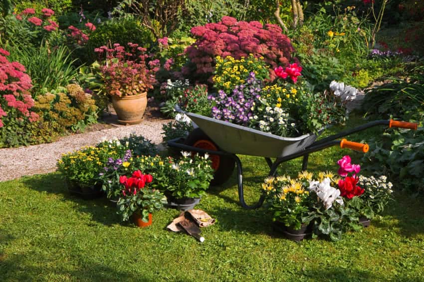 how-to-create-fall-landscape-dallas