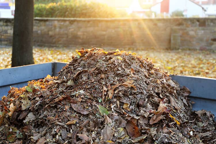 Shredder Vacs And Blowers For Fall Lawn Maintenance Mesquite Tx Outdoor Power Equipment