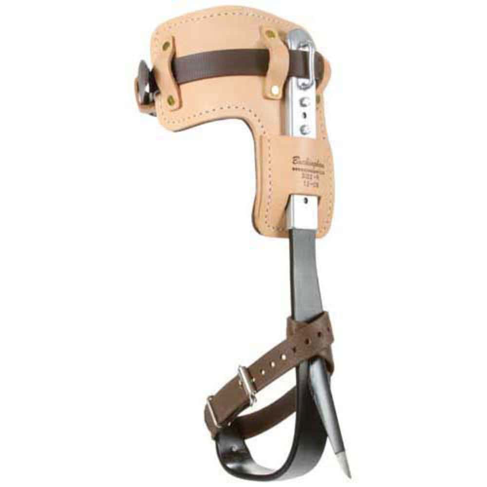 Buck81429Spike_1