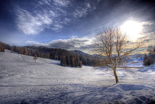 DFW Power Equipment Maintenance The Basics of Winterizing Your Tools