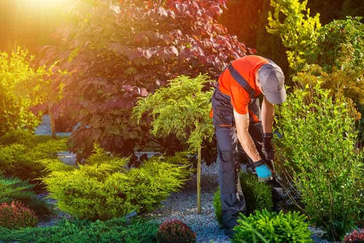 Does-It-Make-Sense-To-Hire-Yard-Service-Or-Do-It-Yourself-Fortworth