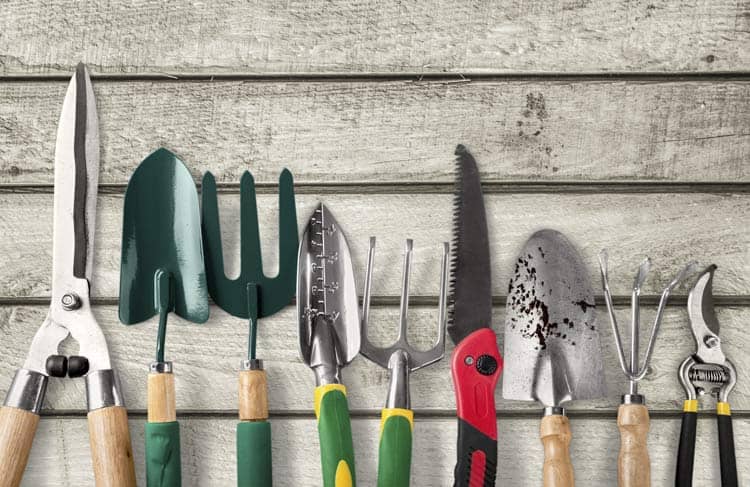 Sanitize-And-Disinfect-Your-Garden-Tools