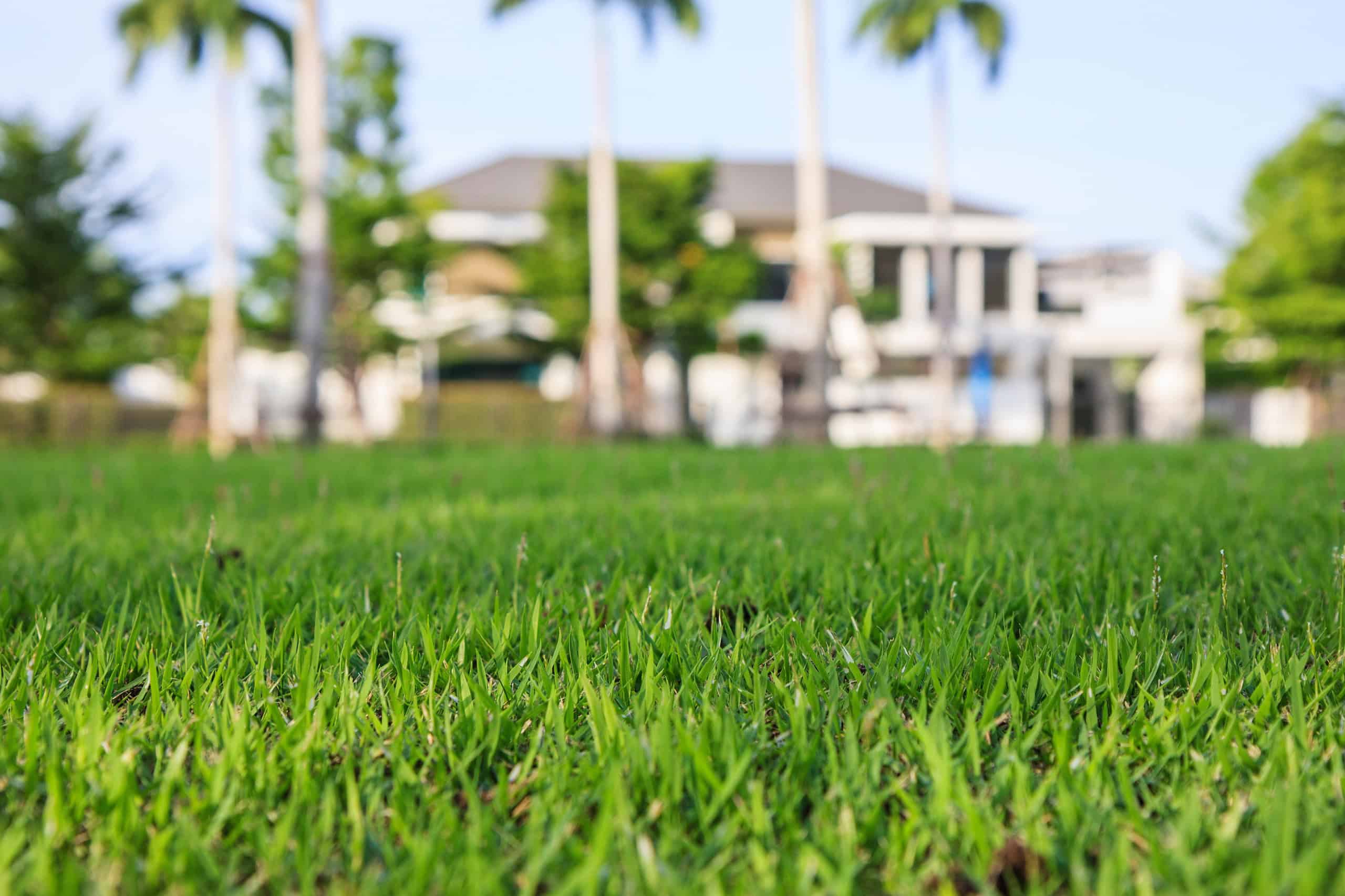 What Are The Best Inexpensive Ways To Improve Your Front Landscape In 2021?